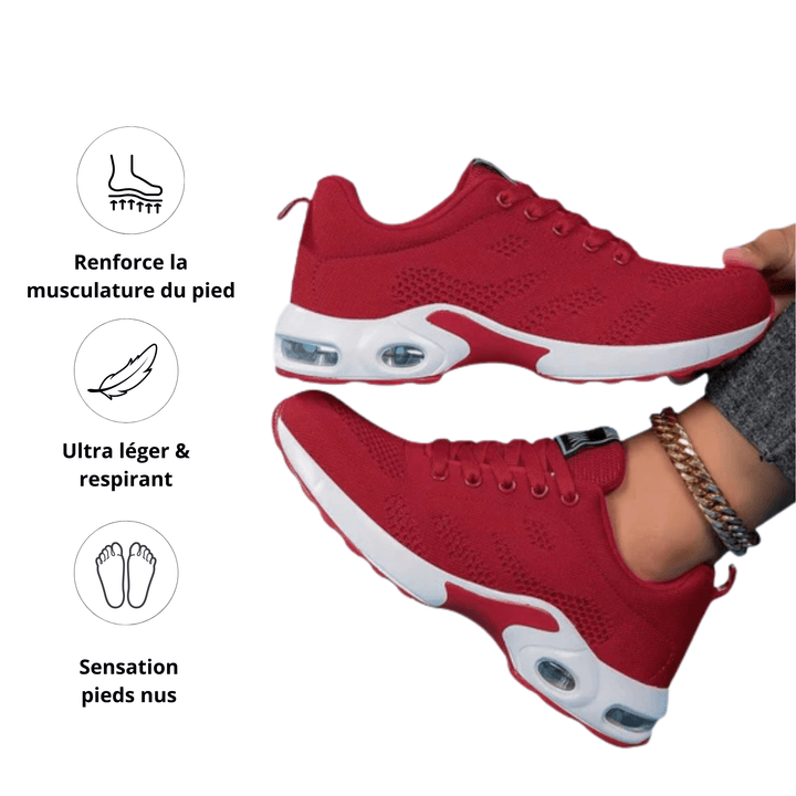 Basket ErgoFit - Optimal support, total comfort