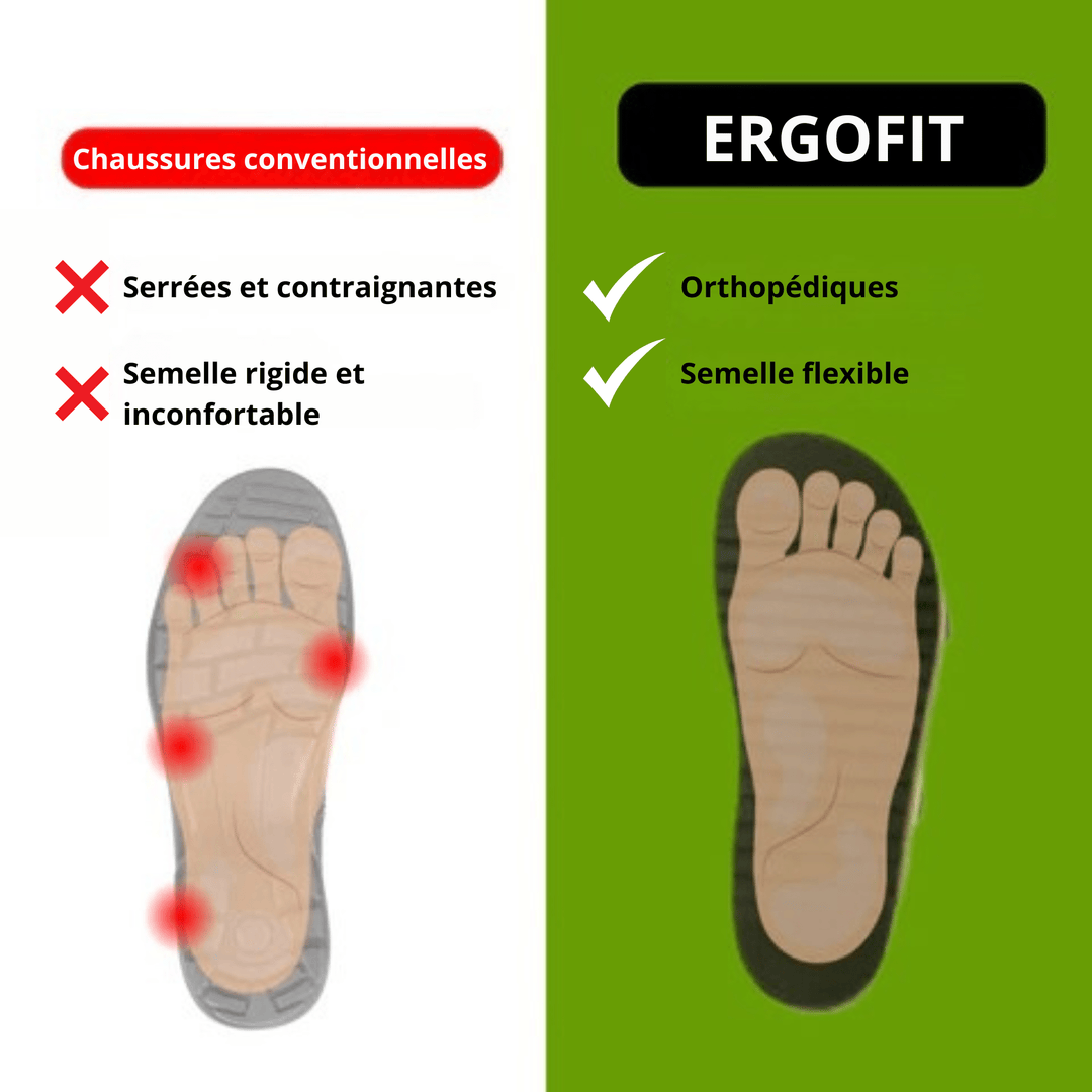 Basket ErgoFit - Optimal support, total comfort